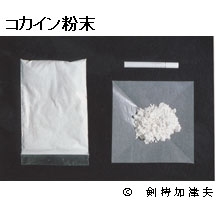 Cocain in powder form