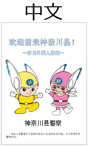 中国語のガイドブック画像