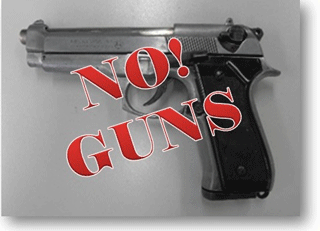 No! Guns