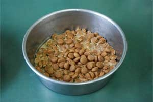 けいさつけんのしょくじ