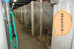 けいさつけんのトイレ