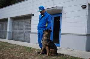 ふくじゅうくんれんのようす