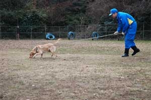 そくせきついきゅうくんれんのようす1