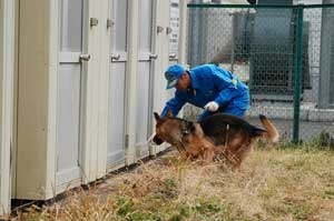 そうさくくんれん