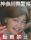 南さんの詳細ファイルへ