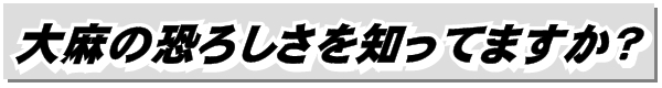 大麻の恐ろしさを知ってますか？