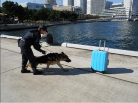 令和7年度横浜港水際危機管理対応合同訓練（新港ふ頭）の写真2