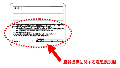 裏面の臓器提供の意思表示欄について