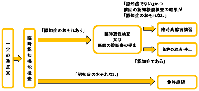 検査の流れの様子