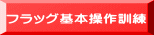 フラッグ基本操作訓練