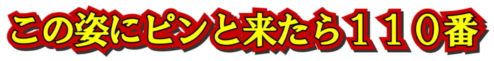 この姿にピンと来たら110番