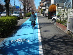 写真:普通自動車通行指定部分の例