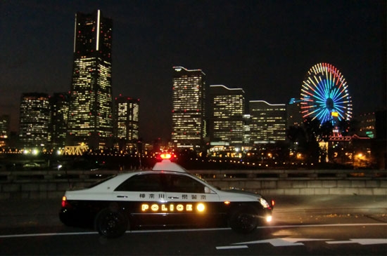 観覧車をバックに