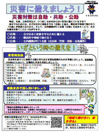 saigaitaisaku
