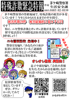 tokusyusagikinnkyuusokuhou