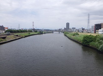 河川の様子