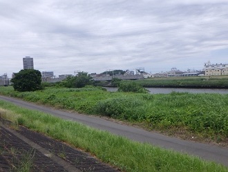 河川敷の様子
