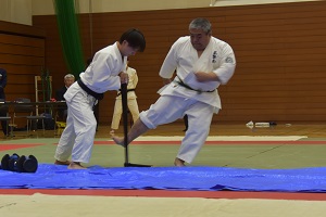 空手道演武(バット折)