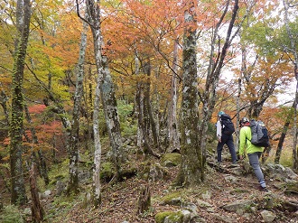 パトロールの様子