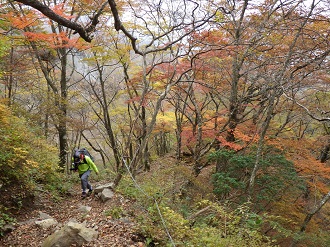 パトロールの様子2