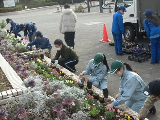 開成駅ロータリーにおける花植え活動の状況
