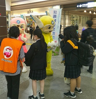 キャンペーンの実施状況