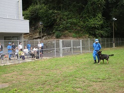 警察犬の訓練を視察している状況