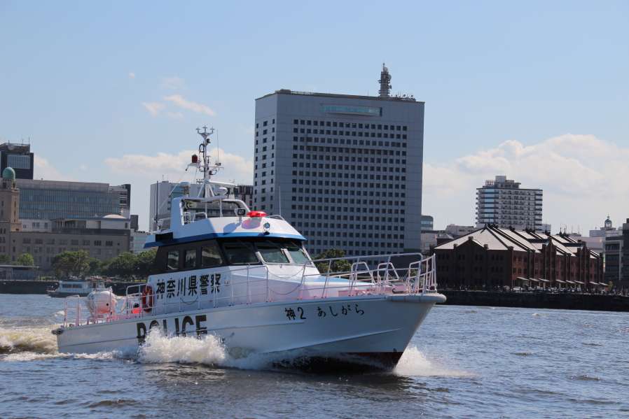 あしがらNEWの画像