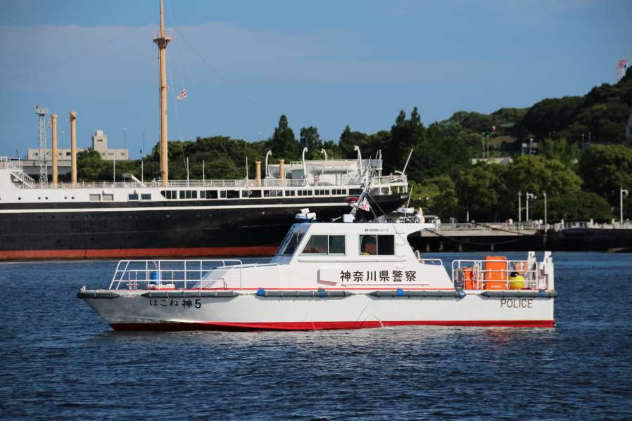 はこねNEWの画像