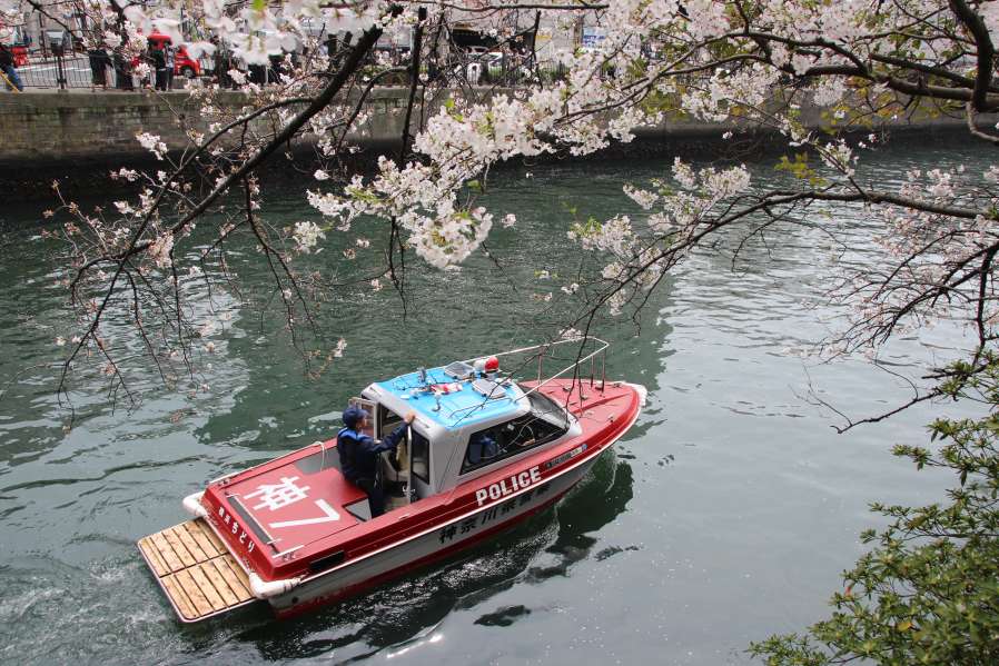 ちどりNEWの画像