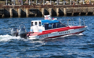 やまゆりの画像